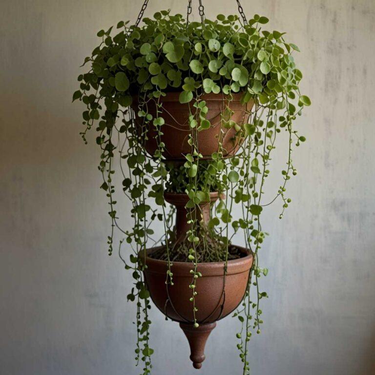 35 Indoor Vine Ideas for Your Home: Transform Your Space with Green ...