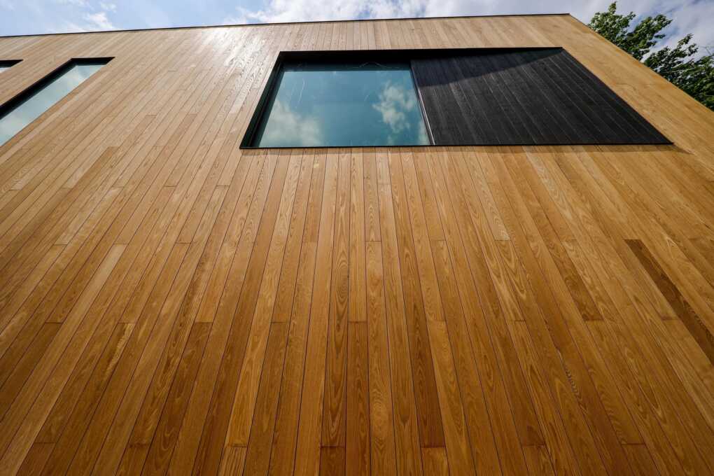 Popular Wood Species for Thermal Modification
