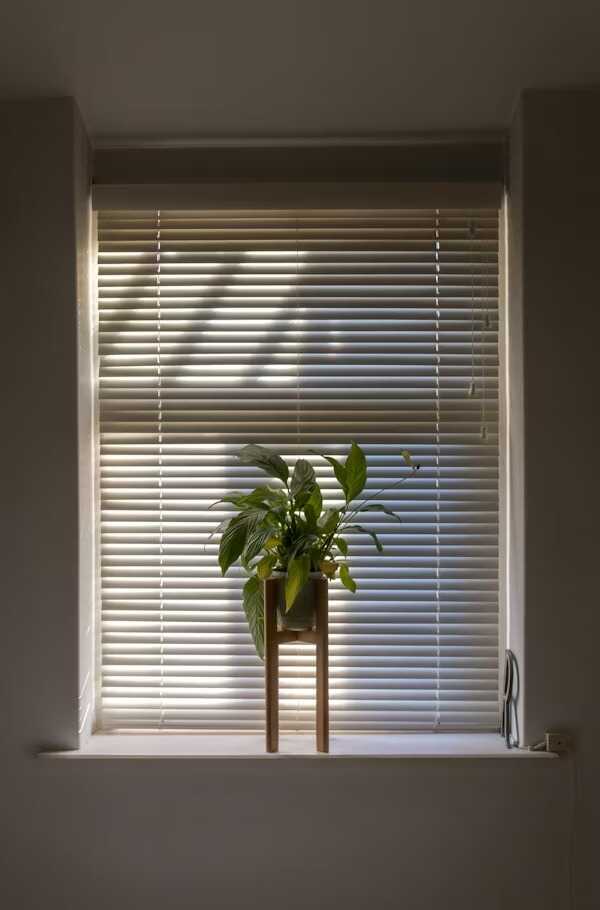 Choosing Blinds Based on Room Functionality