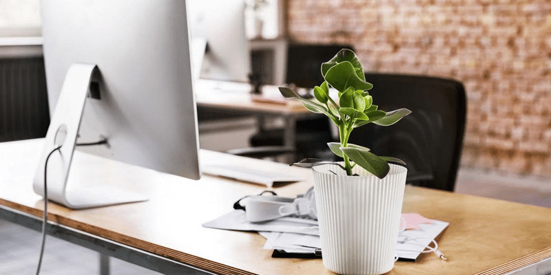 How to Style Your Home Office with Fake Desk Plants