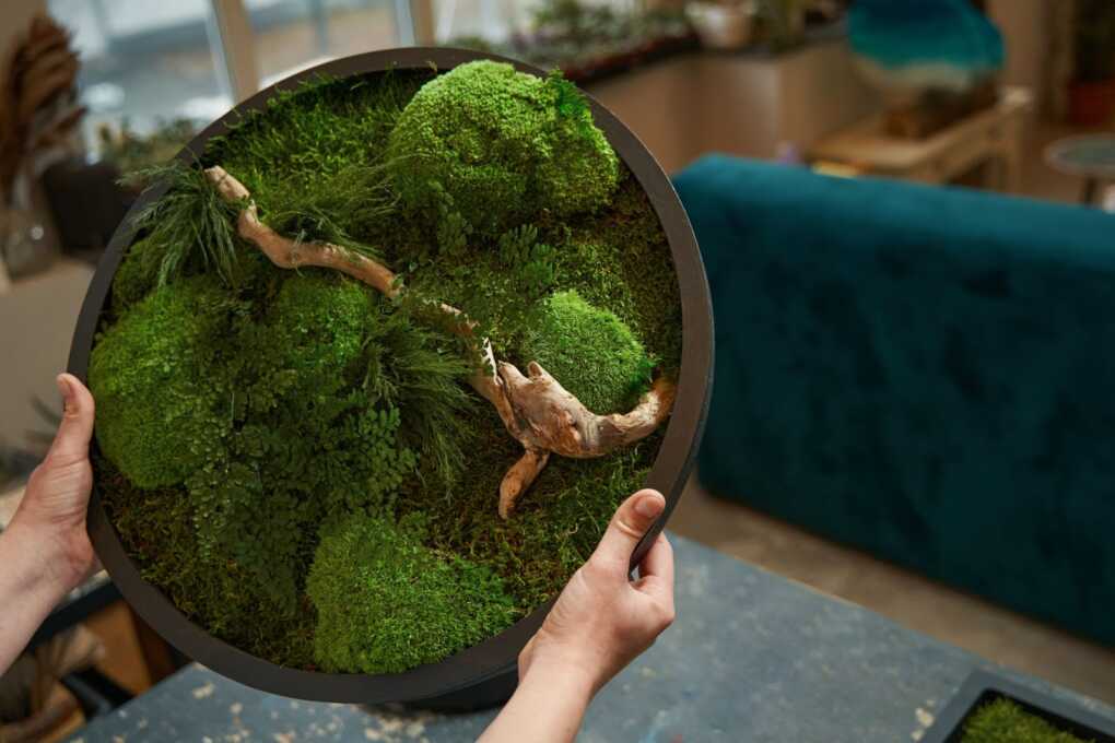 Style a Rough‑Edge Wooden Bowl With Moss