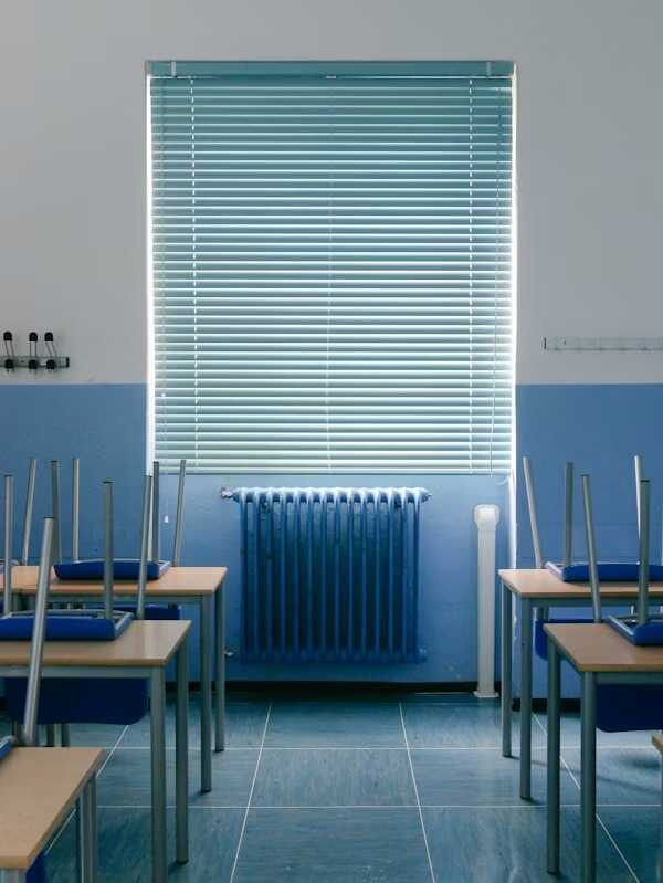 The Role of Window Blinds in Home Design