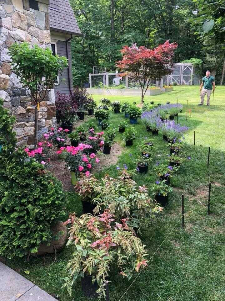 Fall Yard Care