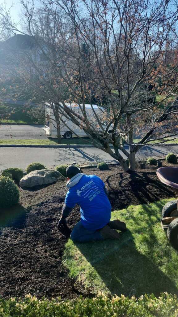 Spring Yard Tips