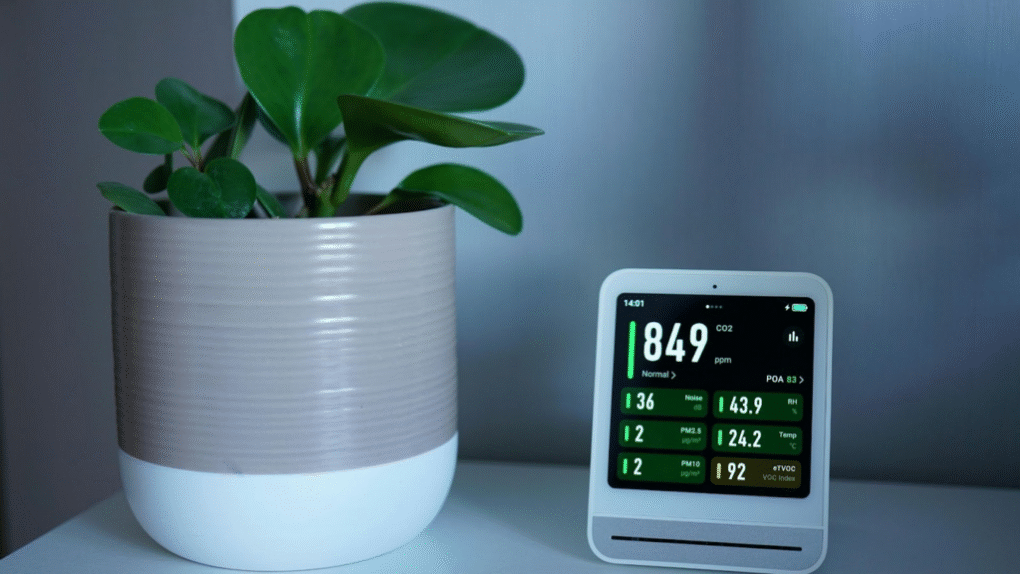 How Mold Growth Impacts Indoor Air Quality Over Time