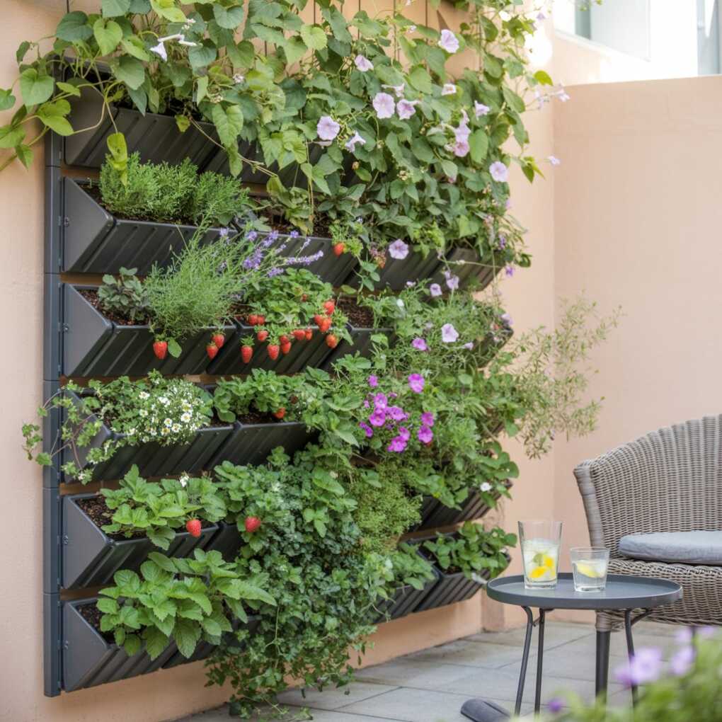 Vertical Garden Walls