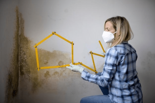 Working with Property Managers for Housing Codes Compliance