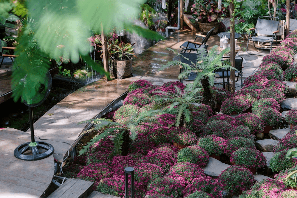 Landscaping Design for Outdoor Spaces That Evolve Over Time