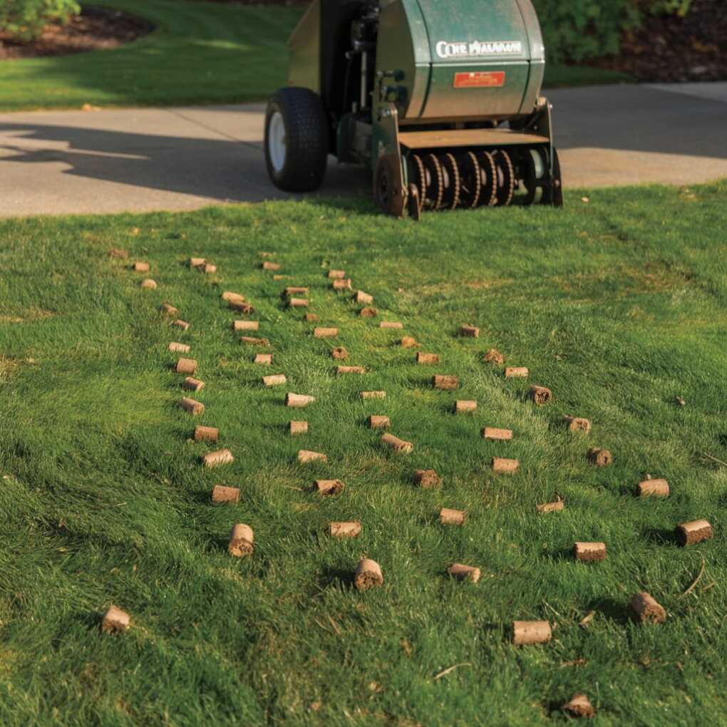 Fix Compacted Soil Core Aeration Benefits for Charlotte Homes